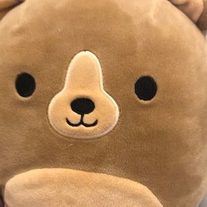 Meet your Posher, Cesar